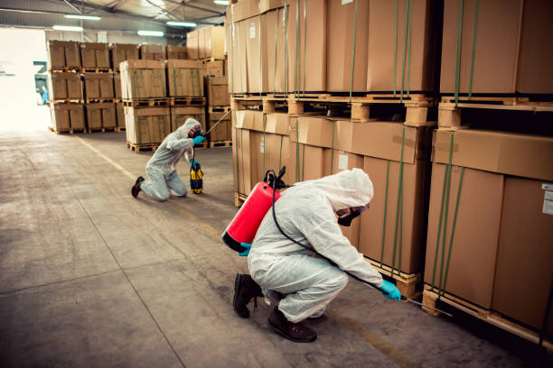 Reliable Tinley Park, IL Pest Control Solutions
