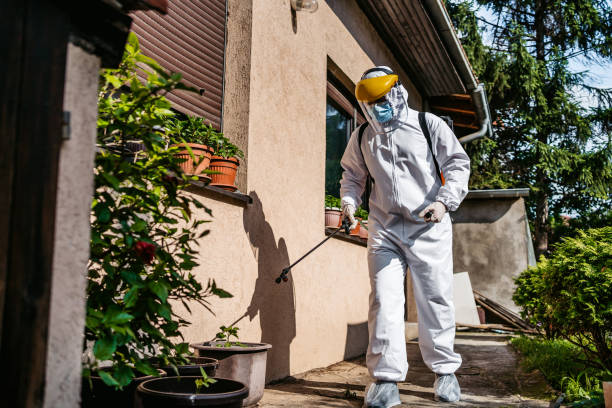 Pest Prevention Services in Tinley Park, IL