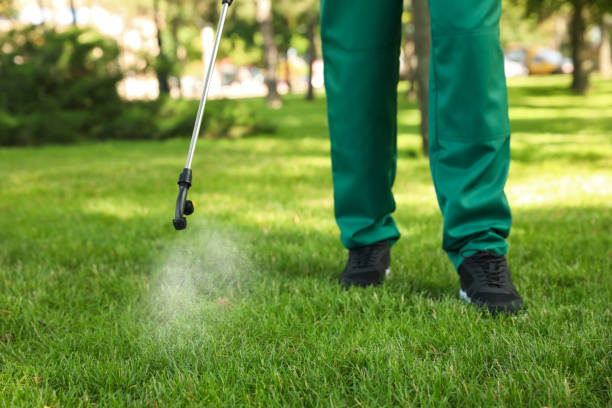 Best Commercial Pest Control Services  in Tinley Park, IL