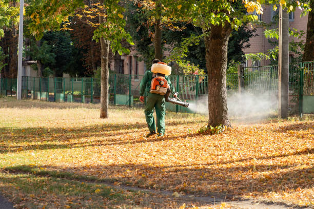Best Pest Removal Services  in Tinley Park, IL